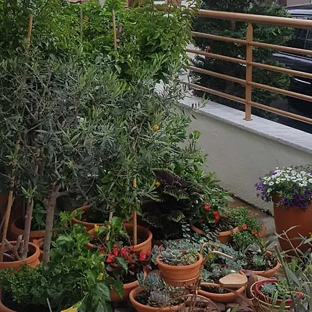 Villa Leonidas Nea Vrasna